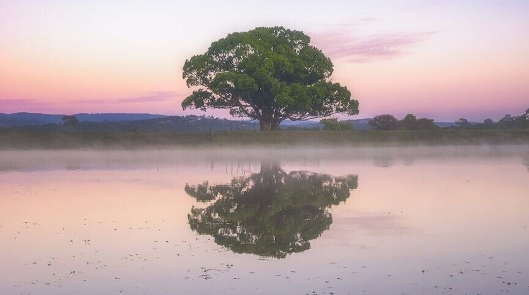 Park at the end of Stadium Drive, Robina.
Short walk through the park along the waters edge. Cross a small easement walkway and to you left is this location.