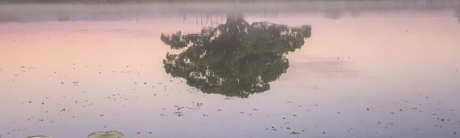 Park at the end of Stadium Drive, Robina.
Short walk through the park along the waters edge. Cross a small easement walkway and to you left is this location.