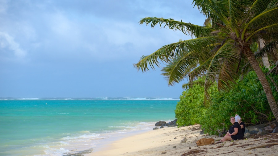 Tikioki Marine Sanctuary showing a sandy beach