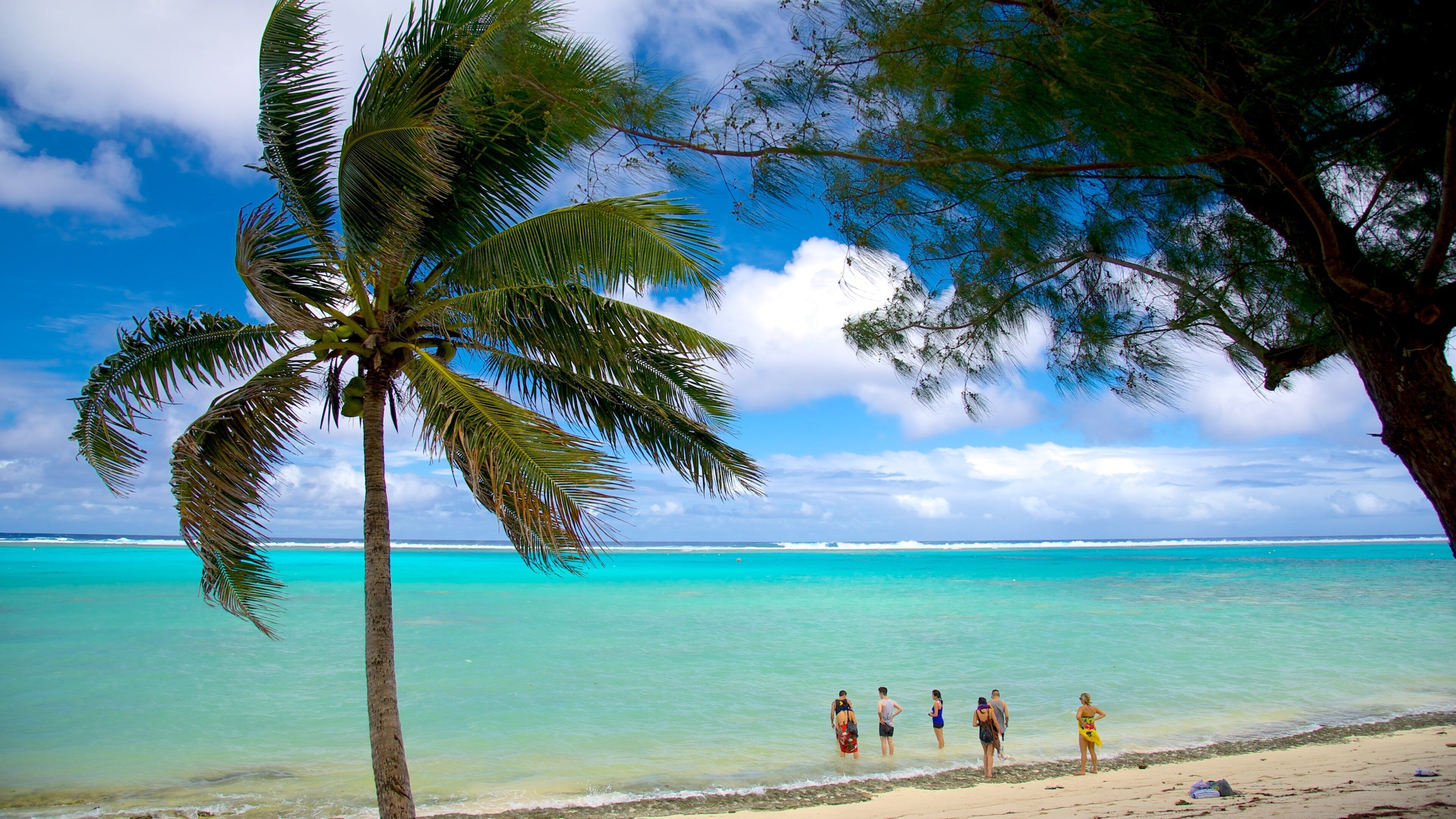 Tikioki Marine Sanctuary showing a sandy beach and tropical scenes