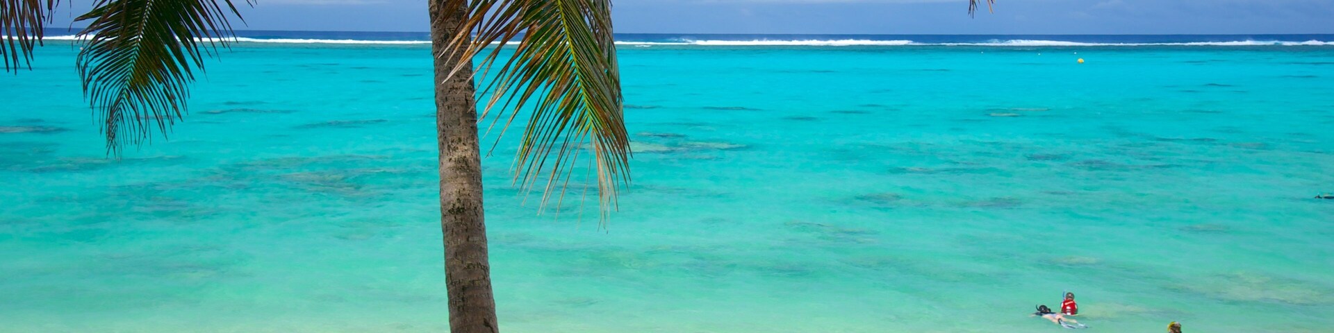 Tikioki Marine Sanctuary featuring tropical scenes and a beach
