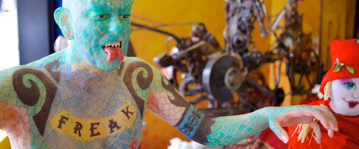 Viện bảo tàng Believe It Or Not của Ripley trong đó bao gồm cảnh nội thất