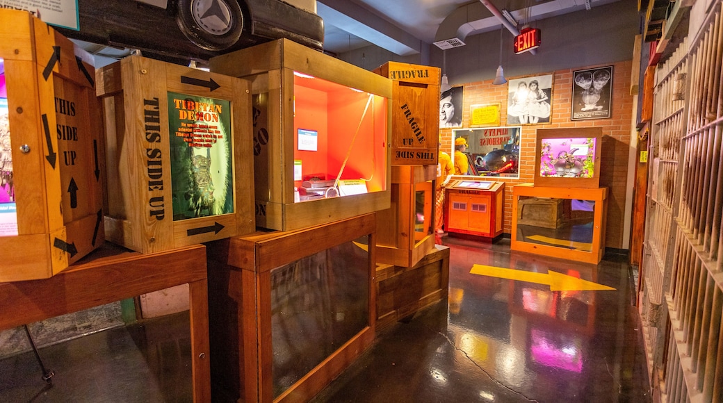 Ripley\'s Believe It Or Not Museum