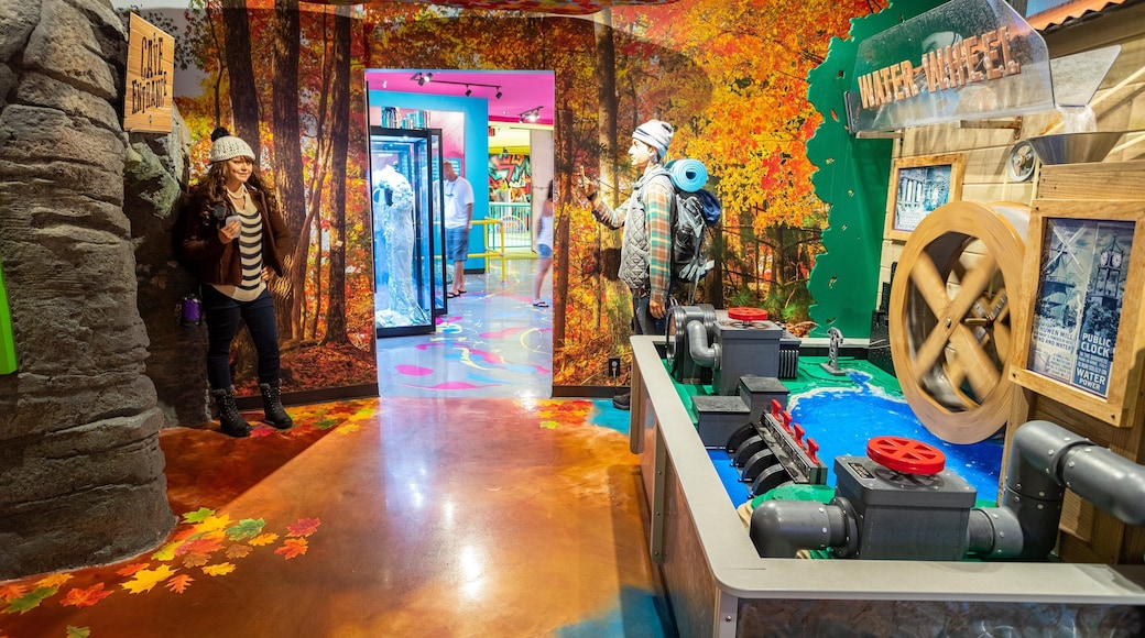 Ripley\'s Believe It Or Not Museum showing interior views