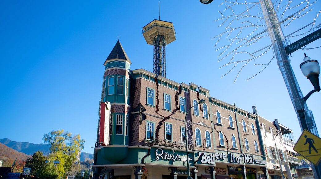 Ripley\'s Believe It Or Not Museum showing heritage architecture