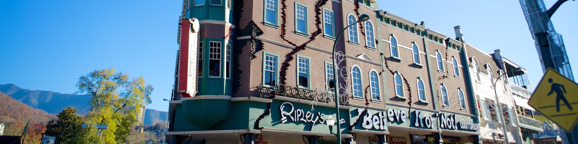 Ripley\'s Believe It Or Not Museum mostrando patrimonio de arquitectura