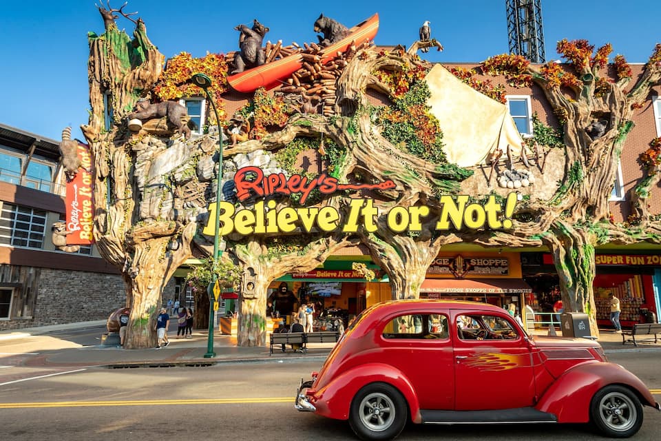 Schild von Ripley's Believe It or Not!, ein roter Oldtimer und eine baumhausartige Konstruktion.