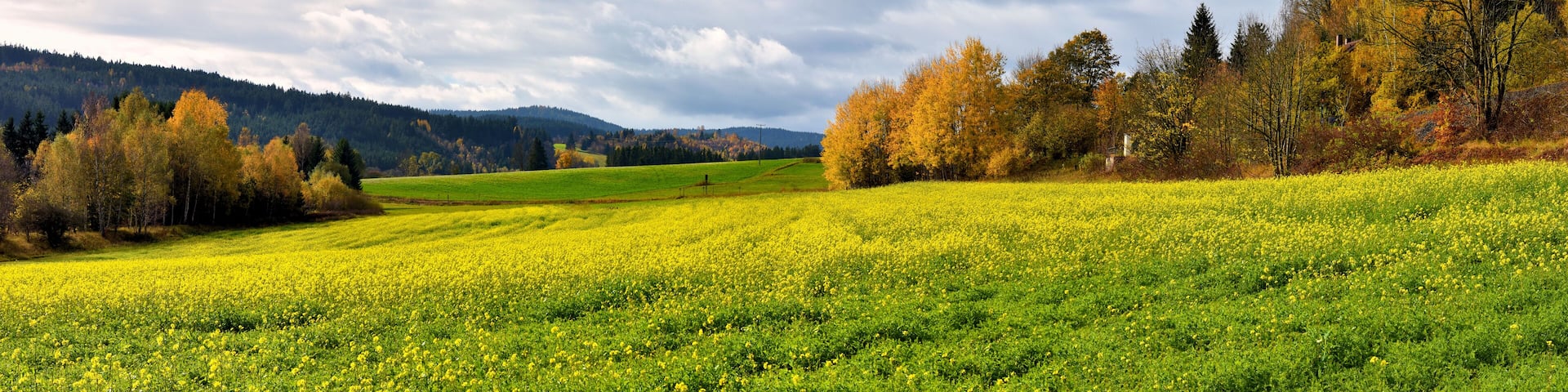 Herbstlandschaft im Frankenwald bei Naila, Bayern, Deutschland