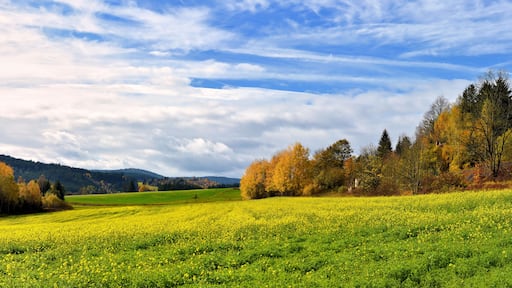 Herbstlandschaft im Frankenwald bei Naila, Bayern, Deutschland