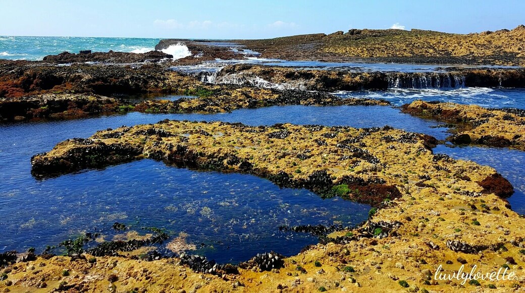 Tidal pools at Oualidia beach.