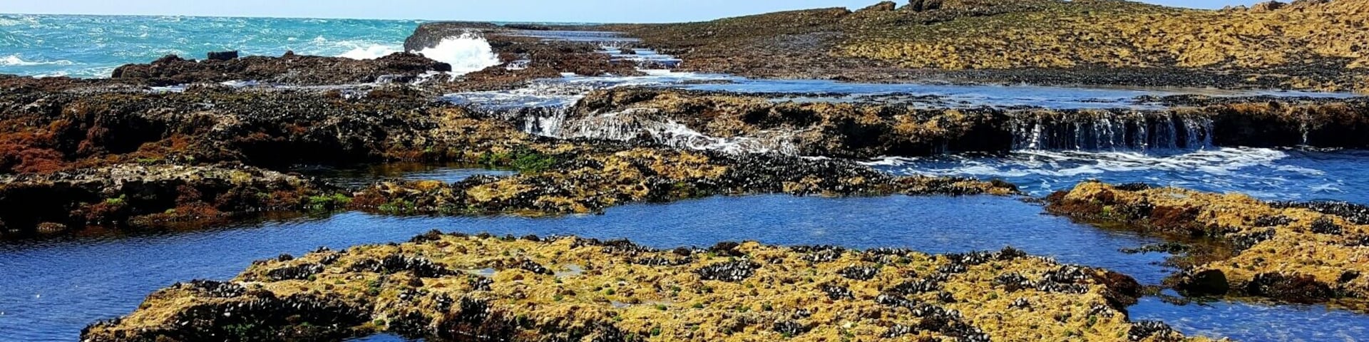 Tidal pools at Oualidia beach.