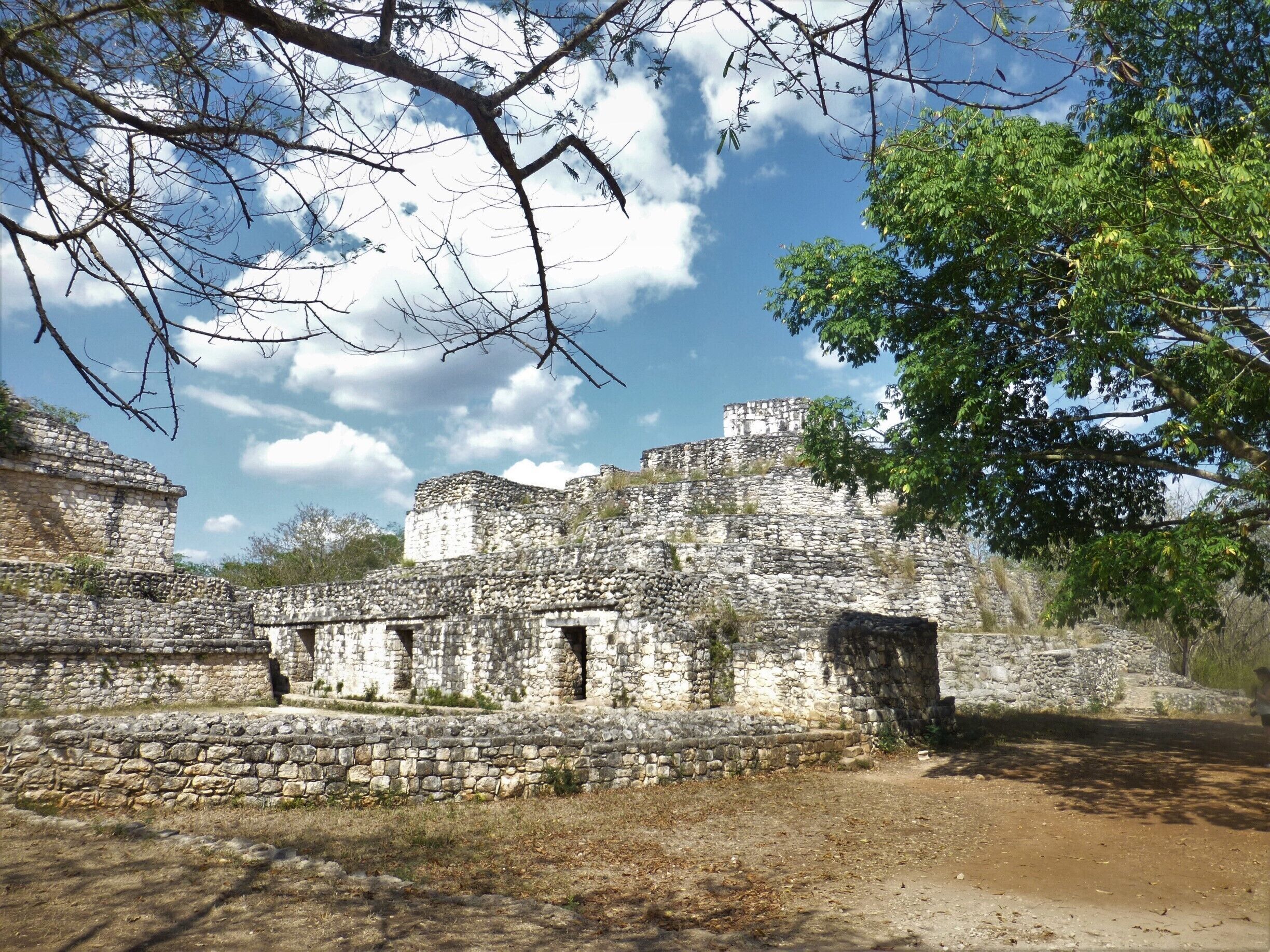 Ancient stone ruins with a clear sky and a large tree in the foreground.