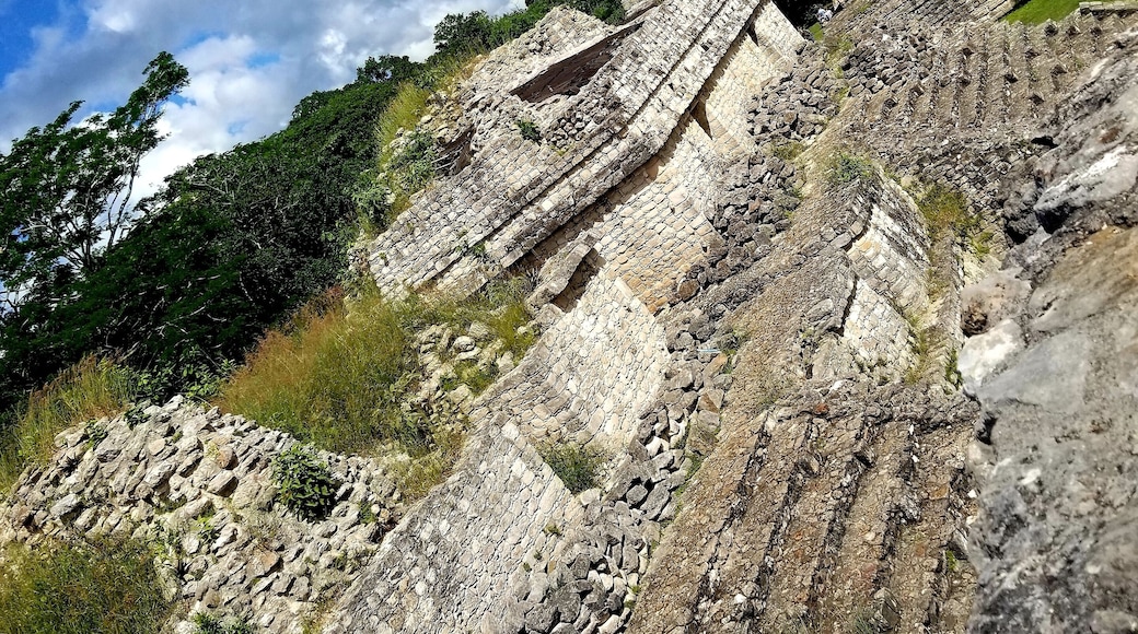 Ek Balam, now a protected ecological site in Mexico, was a predominant Mayan city between 550 AD and 850 AD with 12,000 inhabitants. The Acropolis, formerly a place of knowledge and learning, shown in the distance, features 106 steps to its peak.