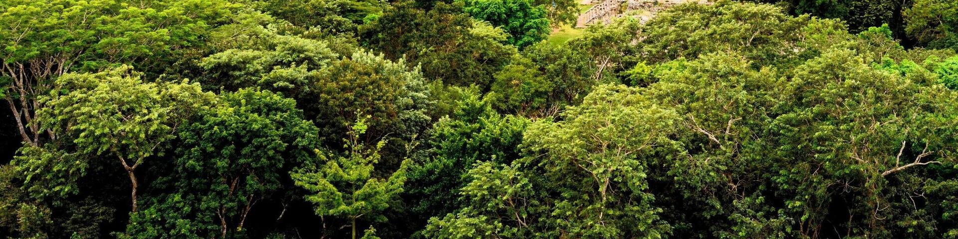 Ek Balam
30 Minutes north from Valladolid.