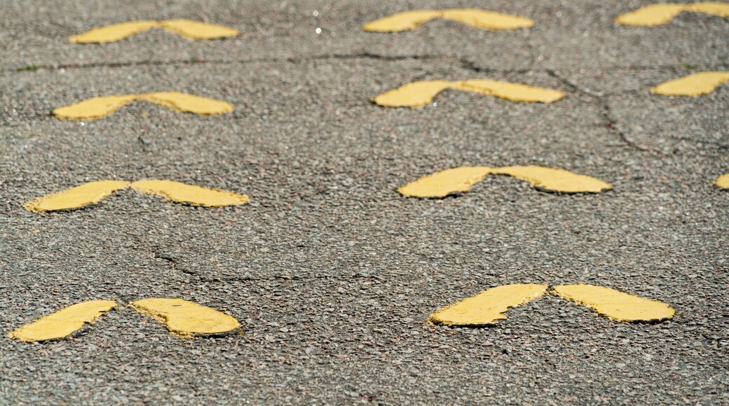 패리스 아일랜드 해병대 모병소