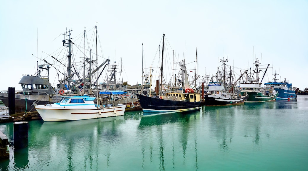 スティーブストン ビレッジ ヒストリック ウォーターフロント