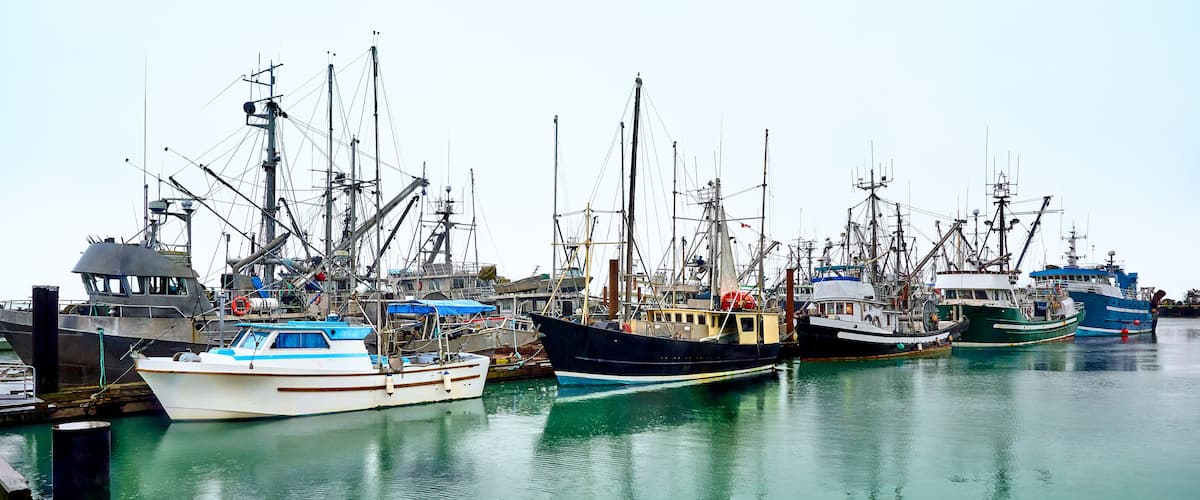 Fishing boats in Steveston harbor. Waterfront Steveston Fisherman's Wharf. Richmond, BC, Canada