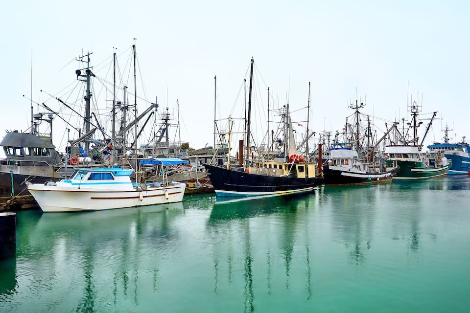 A harbor with multiple fishing boats docked.
