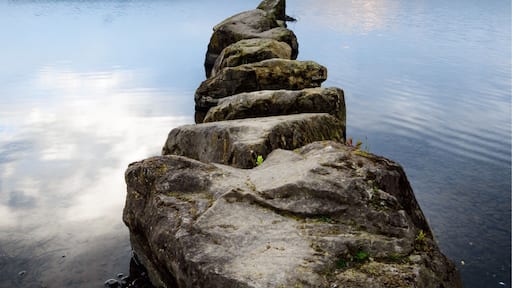 Moody deep blue sky’s over Manvers Lake, 1st time I’ve visited and will definitely be going back when we have a epic sunset as the sun sets just off to the right of the frame.
#bvsblue
#blue
#moody
#lakes
#rocks
