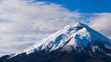 Un pico montañoso cubierto de nieve bajo un cielo parcialmente nublado.