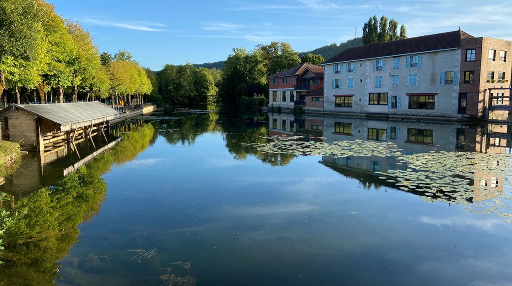 Beautiful reflections of houses in Bar sur Aube in France on August 2022