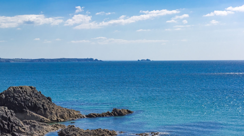 بلوغونفولان