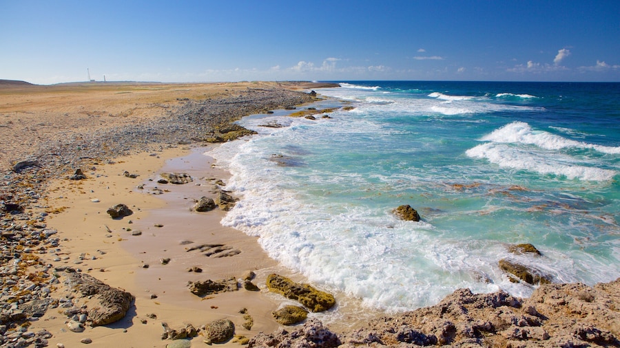 Druif Beach mostrando costa frastagliata