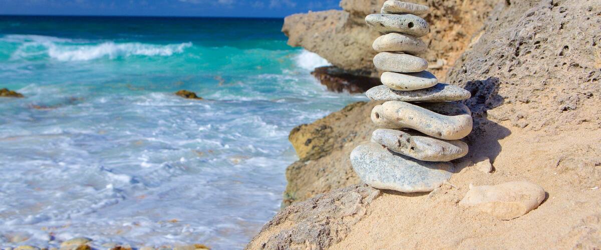 Divi Beach featuring general coastal views