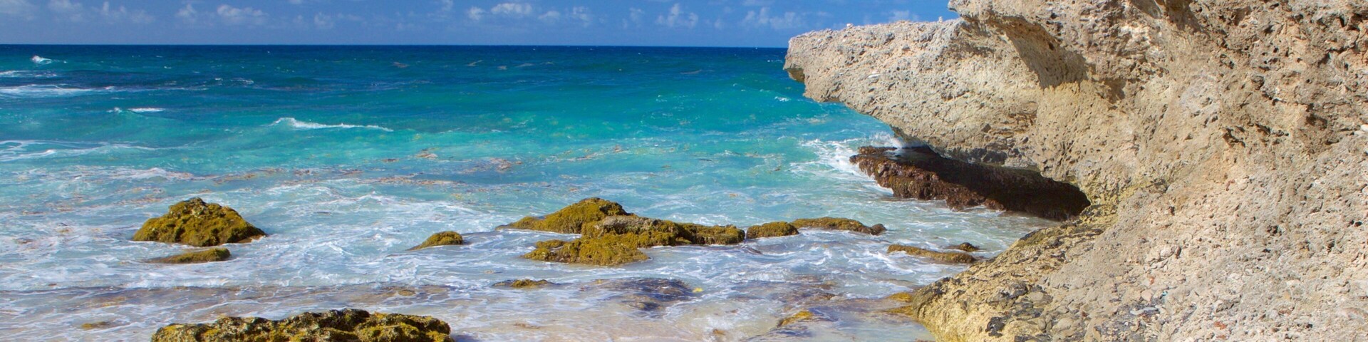 Divi Beach which includes general coastal views