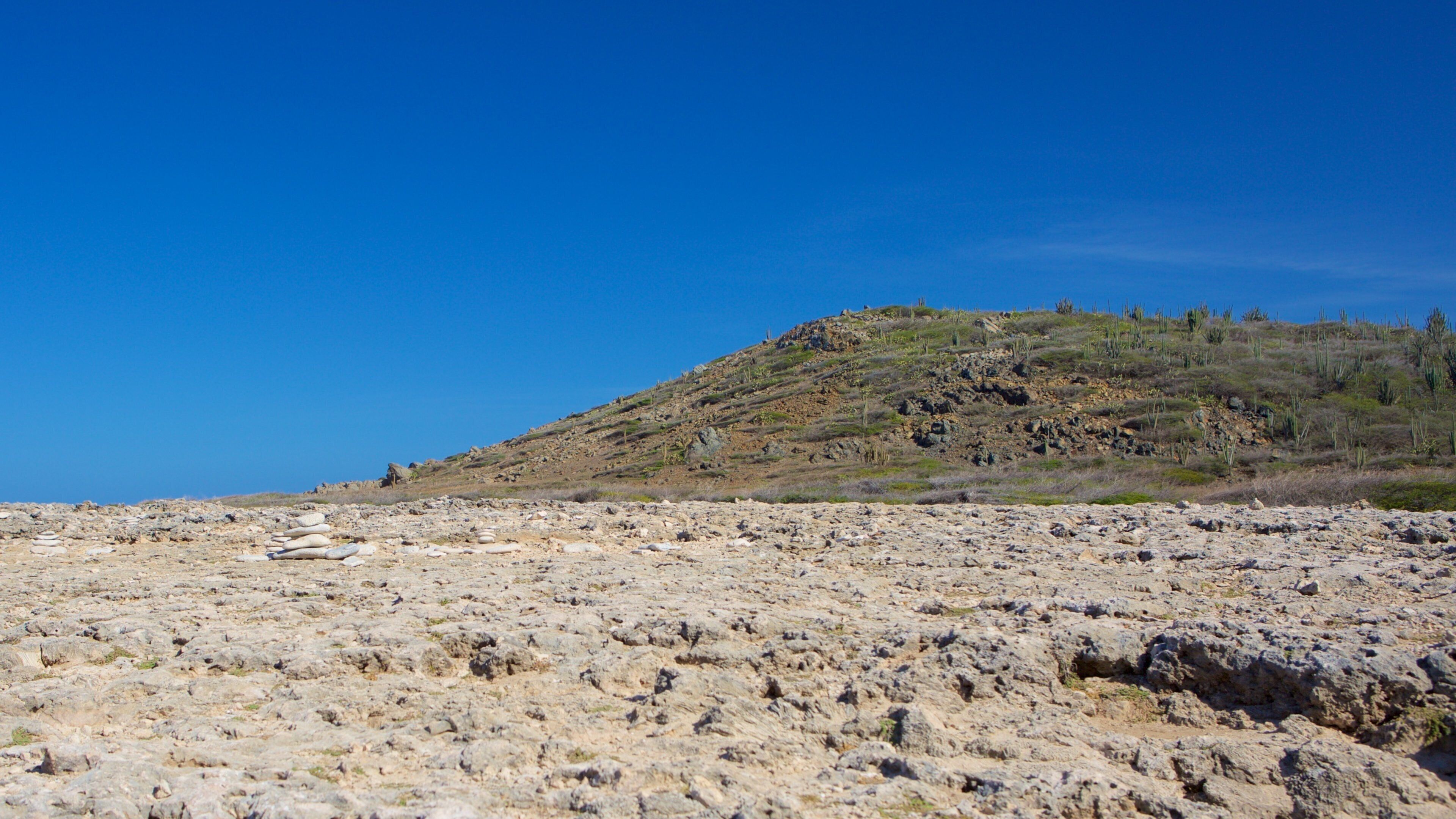 Plage de Druif qui includes scènes tranquilles