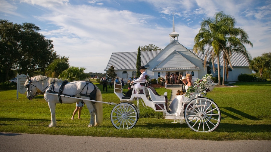 River Ranch showing land animals and horseriding