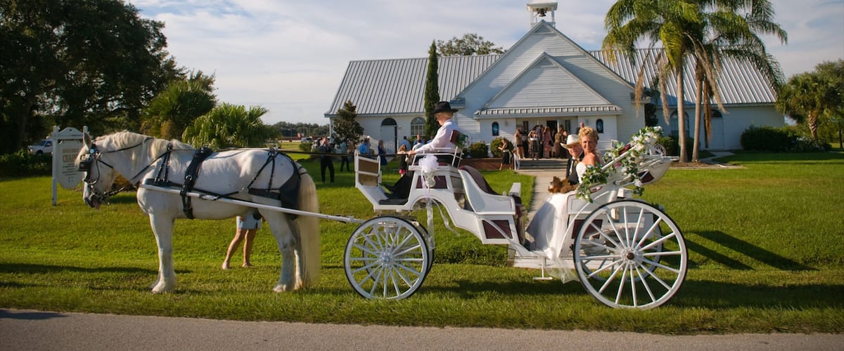 A white horse-drawn carriage with a white roofed building in the background.