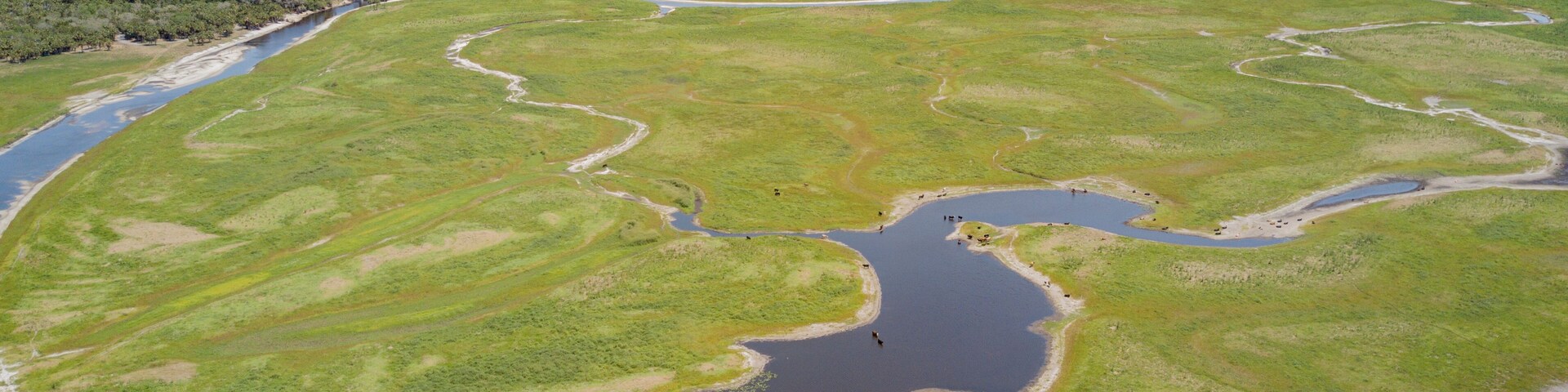 Un río serpentea por un paisaje verde con un bosque al fondo.