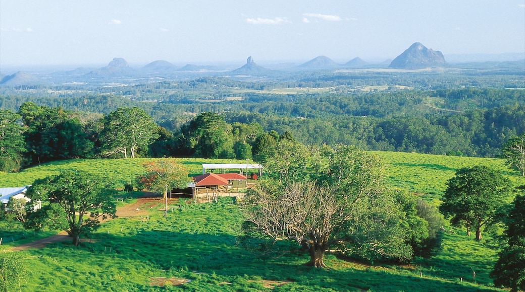 Maleny featuring farmland, landscape views and tranquil scenes