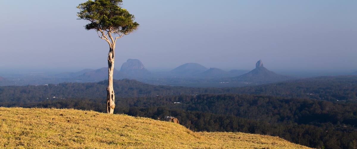 Maleny featuring tranquil scenes