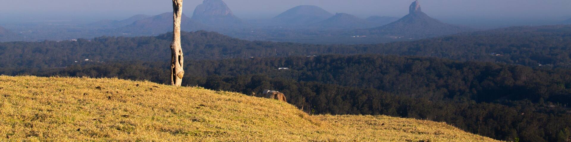Maleny featuring tranquil scenes