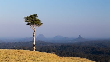 Maleny featuring tranquil scenes