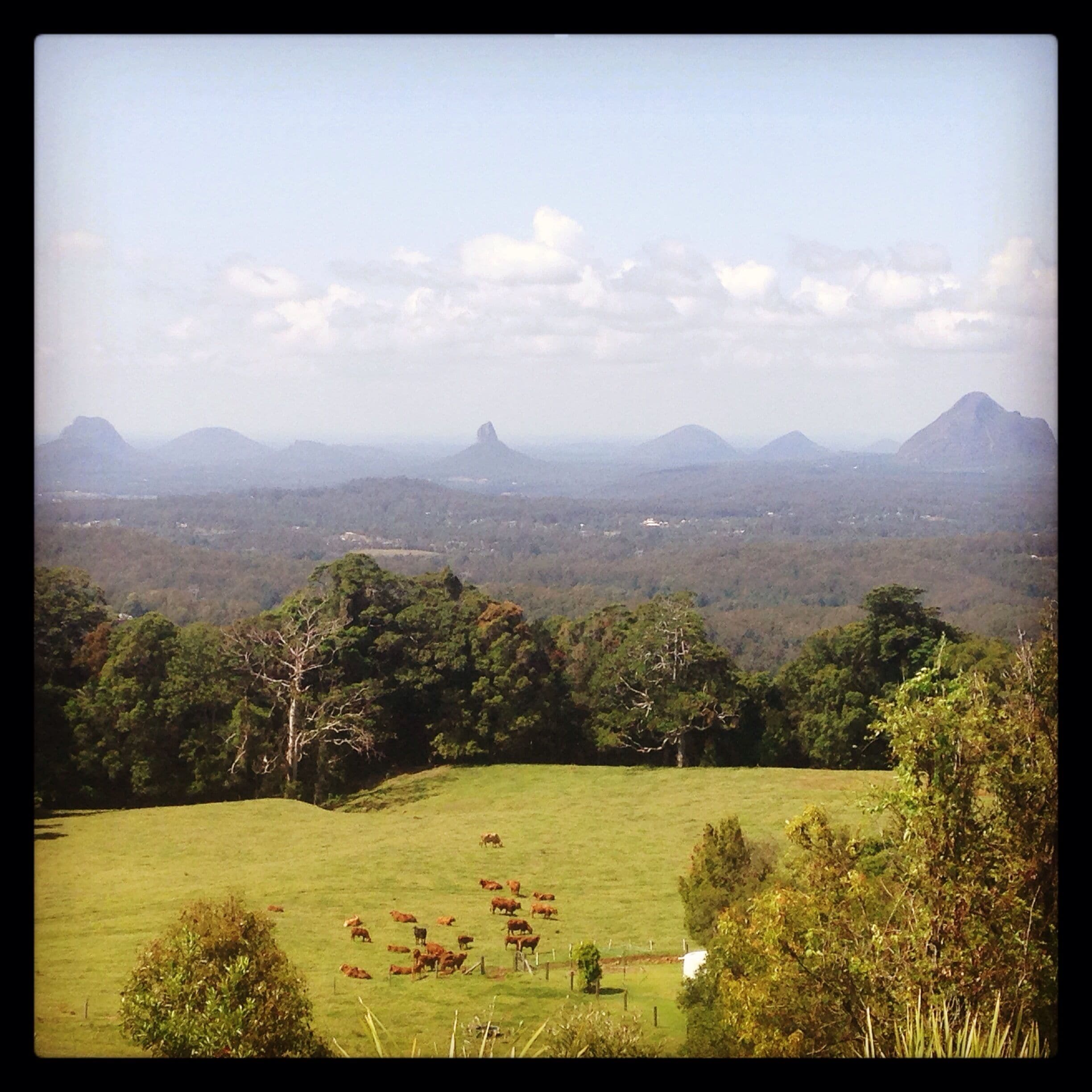 The Beerwah Mountains on the Sunshine Coast.