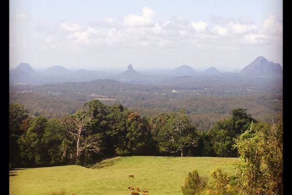 The Beerwah Mountains on the Sunshine Coast.