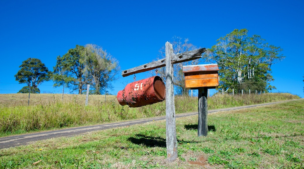 Maleny showing farmland and tranquil scenes