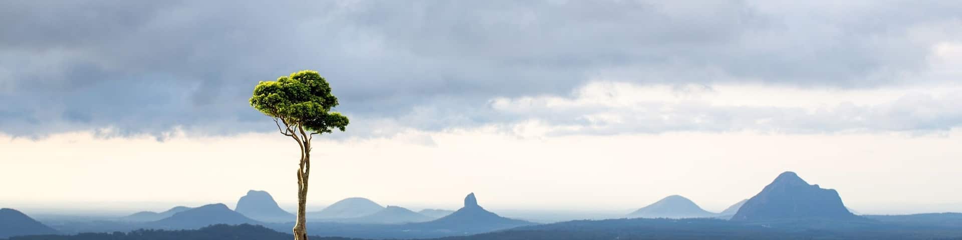The ever popular lonely tree overlooking the Glasshouse Mountains. This tree is located on private property and you can get permission to access the paddock from the owner as per the sign on the gate. You can easily photograph the landscape from the roadside as well.
#roadtrip #queensland #australia #mountains
#weekendgetaway