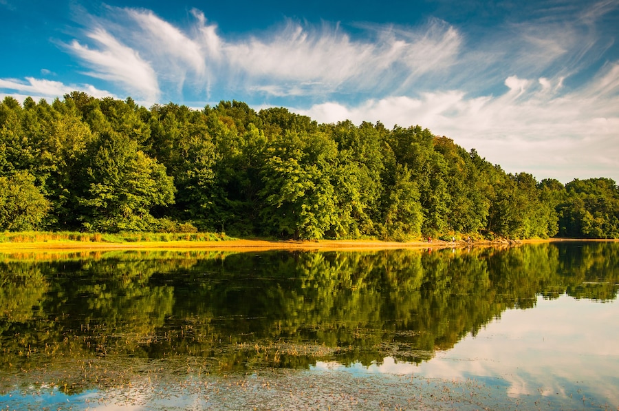 Evening light on the shore of Lake Marburg, in Codorus State Park, Pennsylvania.