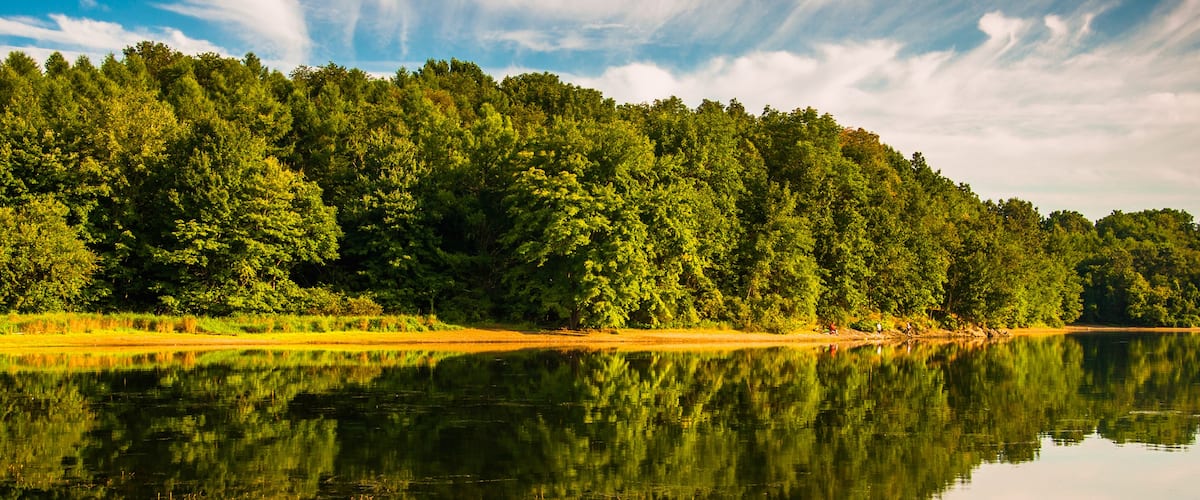 Evening light on the shore of Lake Marburg, in Codorus State Park, Pennsylvania.