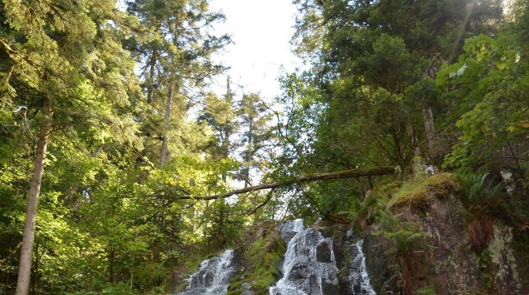 Le Tholy, Vosges, grande cascade du Tendon.