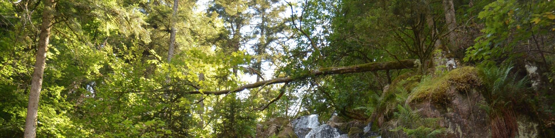 Le Tholy, Vosges, grande cascade du Tendon.