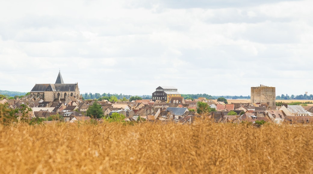 Panoramic view of medieval town Houdan with its ancient church and fortified tower through the blurry field. Ile-de-France, France. French countryside tourism background banner.