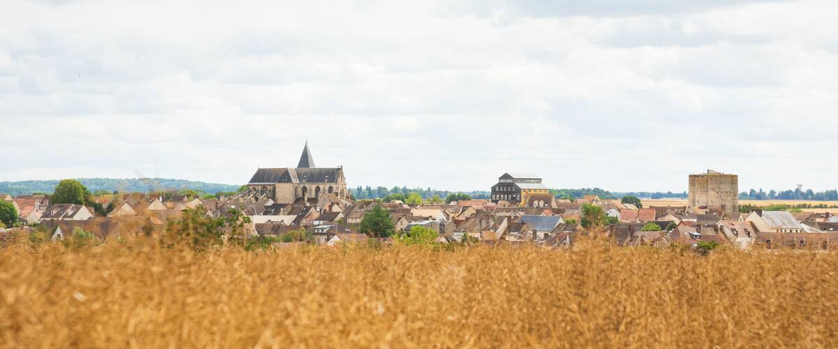 A rural European town with historic buildings, a church, and a castle.