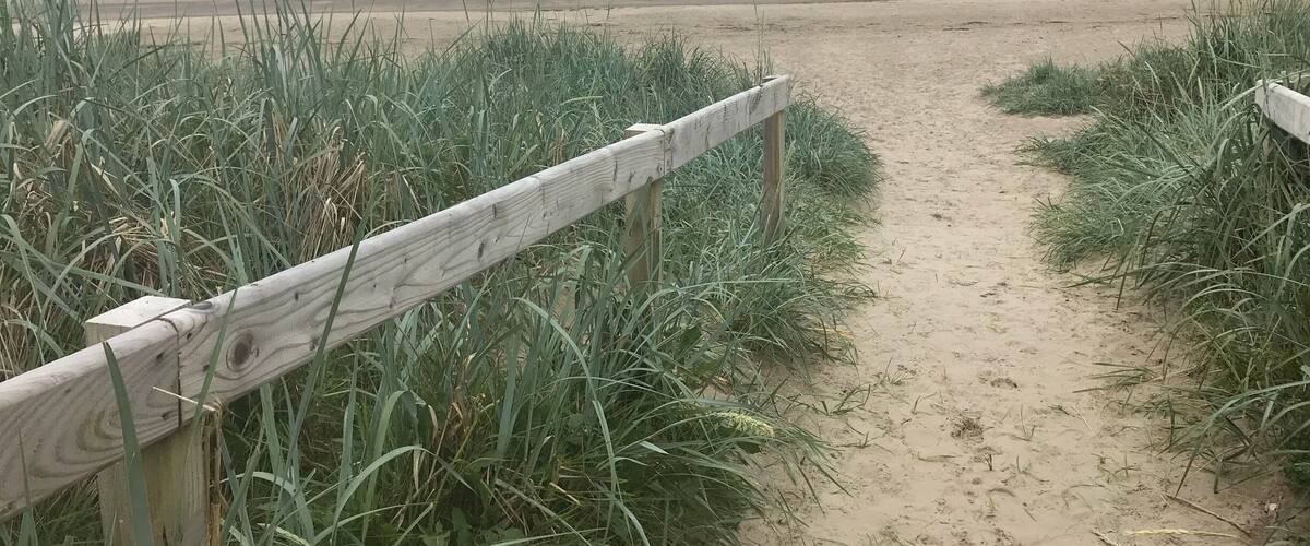 A sandy beach path with wooden railings, surrounded by tall grass.