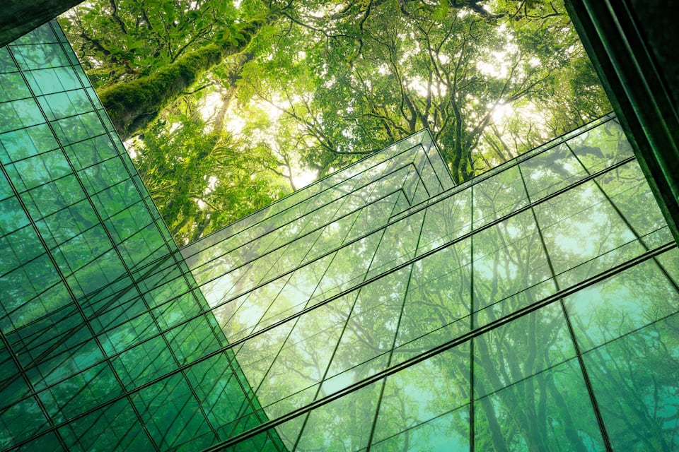 A glass structure with a view of a dense forest.