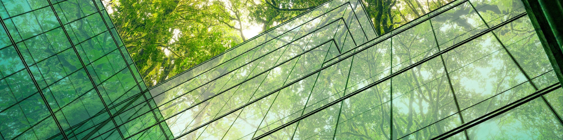 Eco-friendly building in the modern city. Sustainable glass office building with tree for reducing heat and carbon dioxide. Office building with green environment. Corporate building reduce CO2.